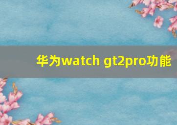 华为watch gt2pro功能